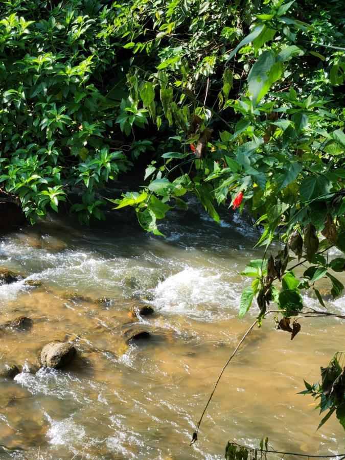Hospedaria E Camping Quintal Do Mundo Лумиар Экстерьер фото